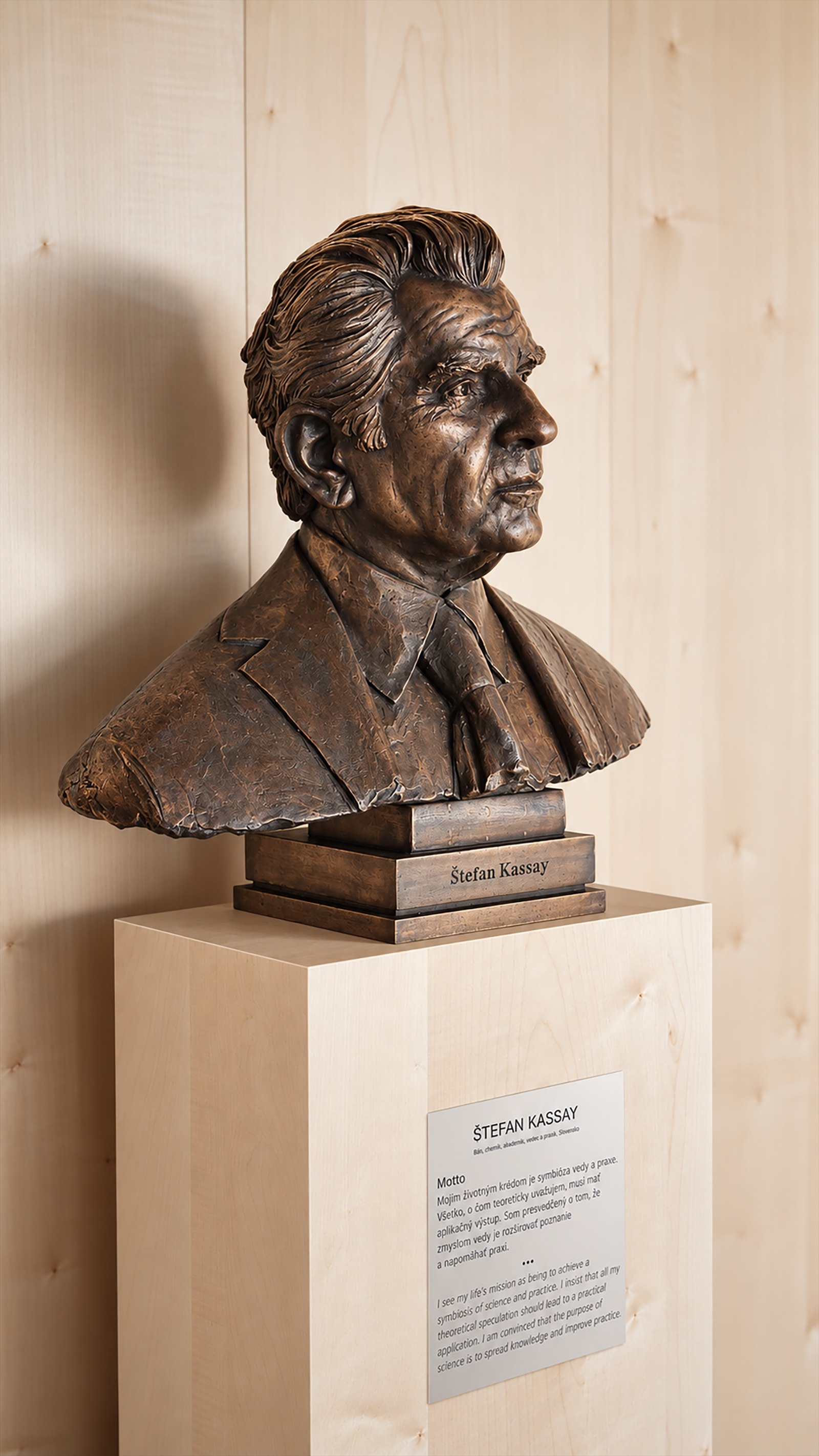 Privátne sídlo prof. Kassaya, Limbach – pohľad 6